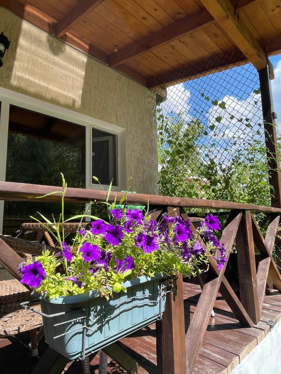Bed and Breakfast Private Щучинск Экстерьер фото